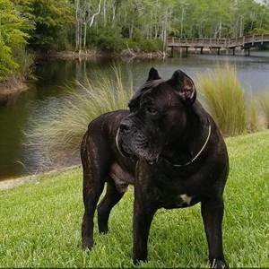 Meet your Posher, Cass